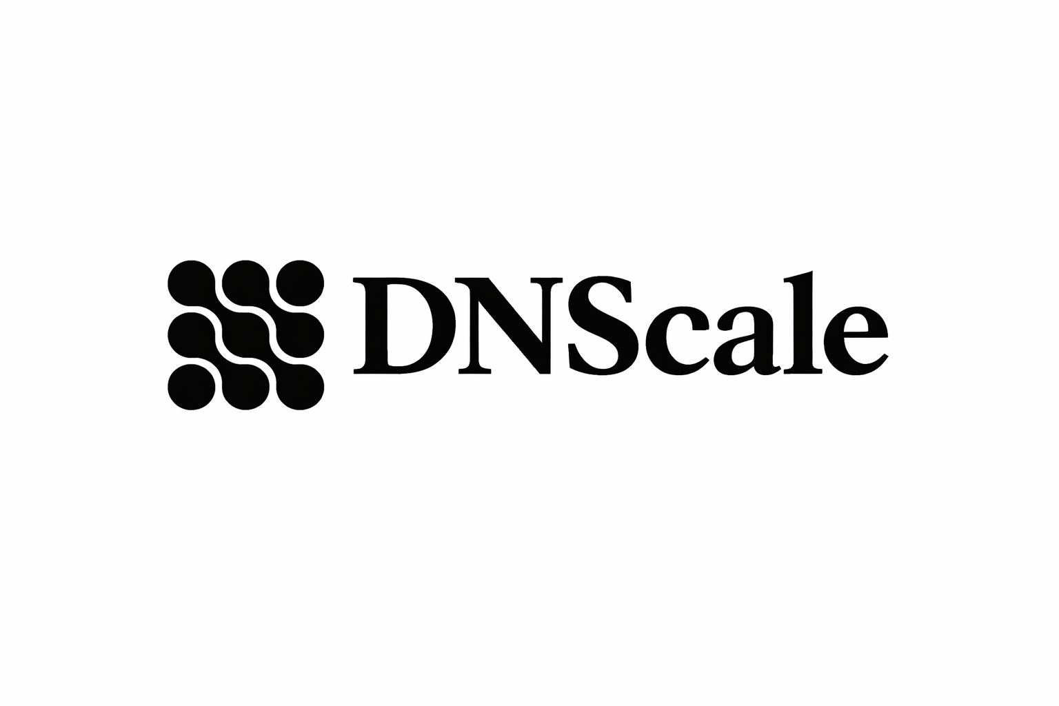 DNScale logo